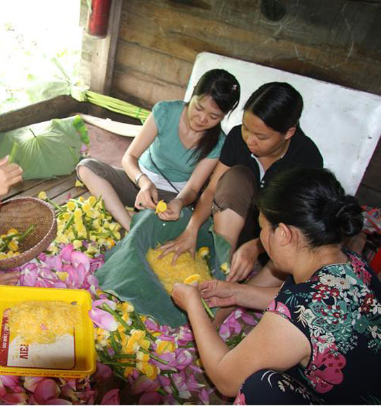 Làm chè ướp sen Hà nội