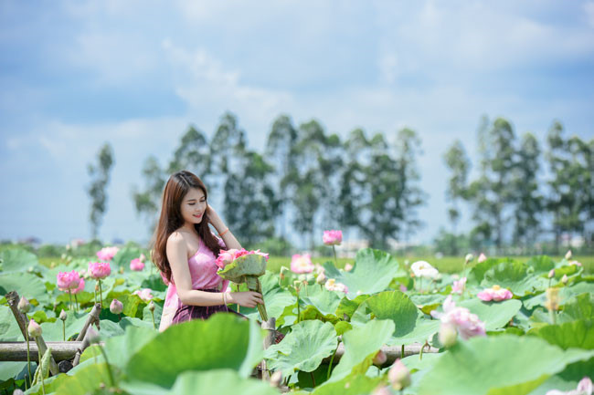 Nữ sinh Lào khoe dáng bên hoa sen Hồ Tây – Trà sen Tây Hồ Minh Cường